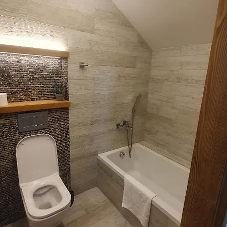 Casa de hóspedes Viktorka 2*