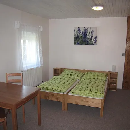Casa de hóspedes Viktorka 2*