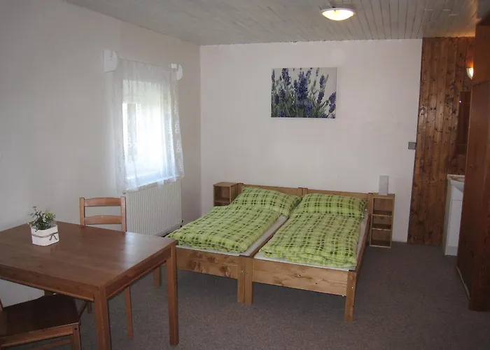 Pensionat Viktorka 2*